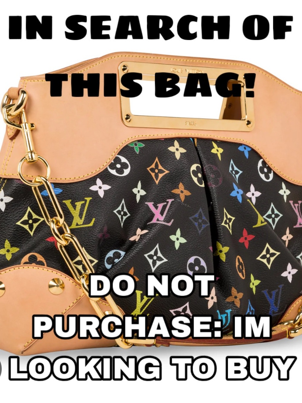 Louis Vuitton Judy Murakami Bag